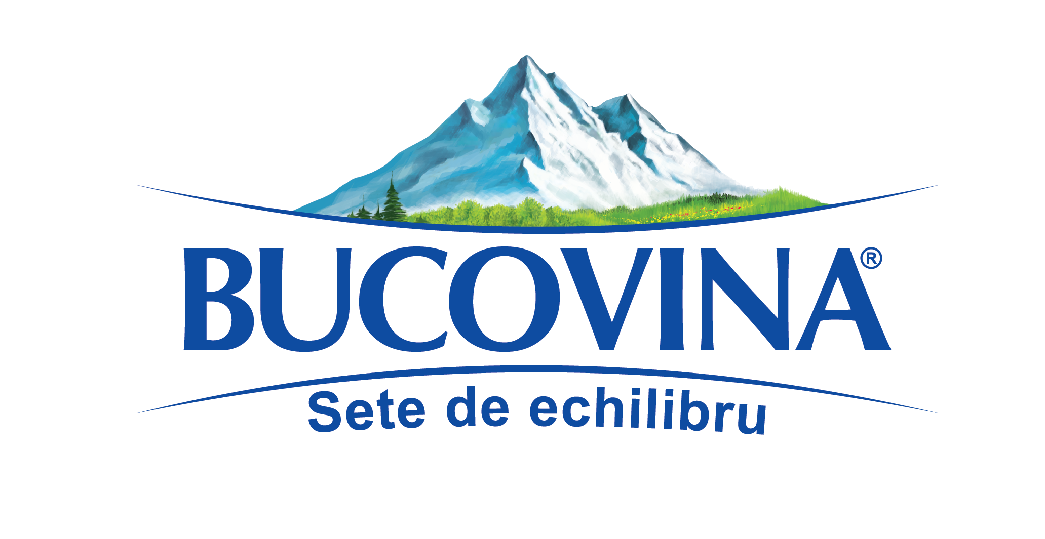 LOGO BUCOVINA